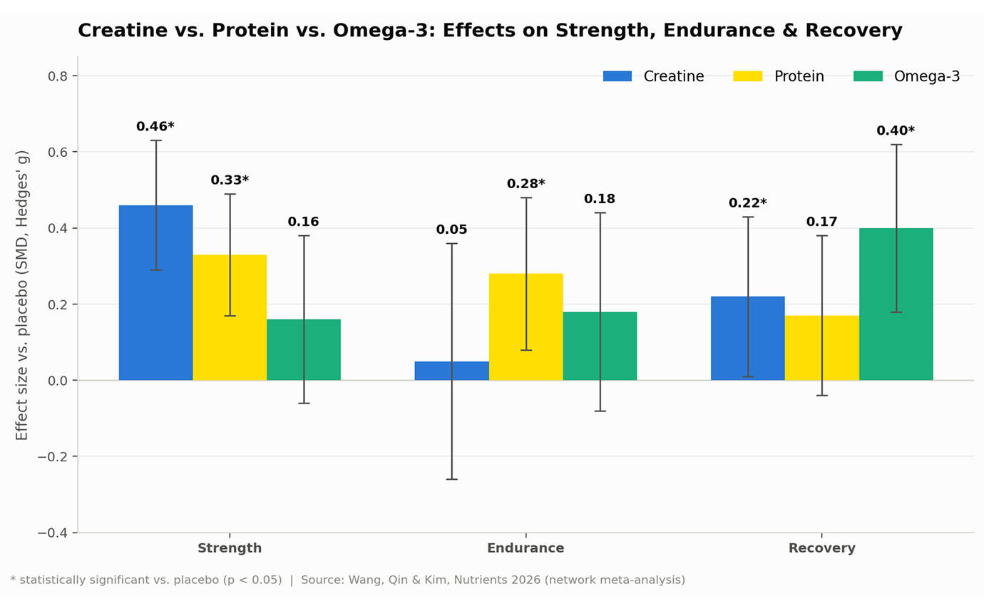 creatine-vs-protein-vs-omega3
